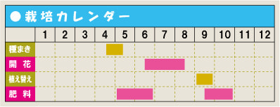 栽培カレンダー・ラベンダー