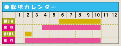 栽培カレンダー・クレマチス