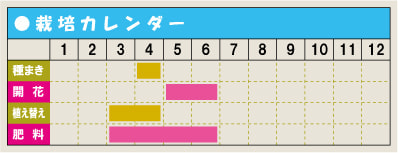 栽培カレンダー・ツルハナナス