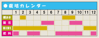 栽培カレンダー・バラ