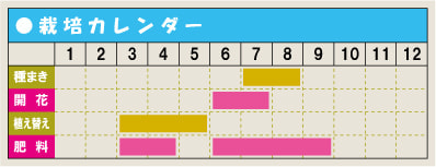 栽培カレンダー・アジサイ