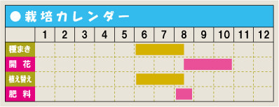 栽培カレンダー・コスモス