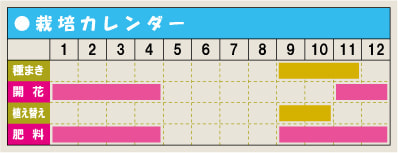 栽培カレンダー・ストック