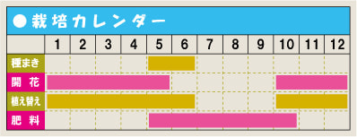 栽培カレンダー・カランコエ
