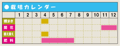 栽培カレンダー・シャコバサボテン