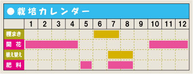 栽培カレンダー・オキザリス