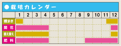 栽培カレンダー・シクラメン