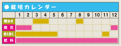 栽培カレンダー・ポインセチア